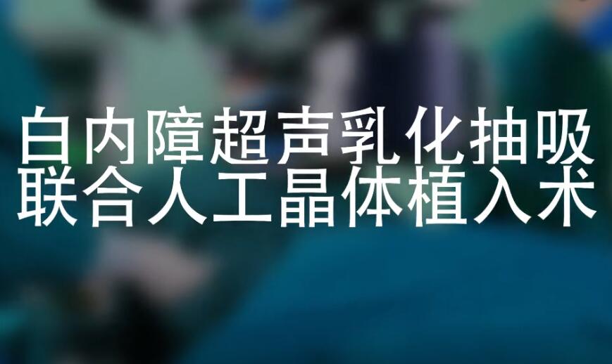 &#20061;&#28216;