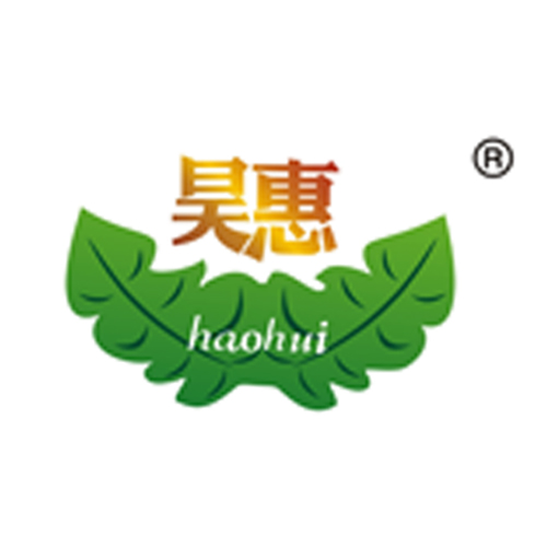 &#20061;&#28216;