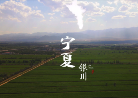 &#20061;&#28216;